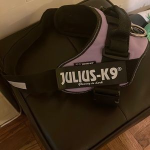 Julius-k-9 size 1 purple harness.